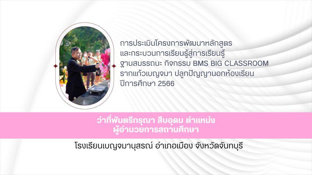 สีชมพู สีฟ้า เรียบง่าย ประเมินการทำงาน presentation